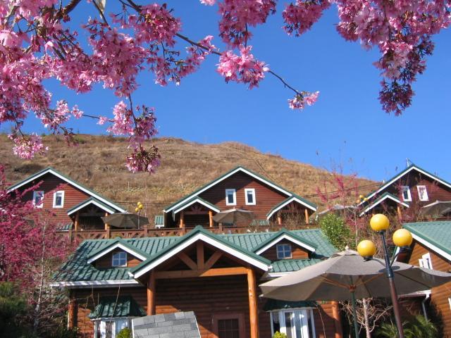 清境豐田桂林山莊民宿 Renai Eksteriør bilde